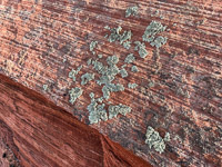 1044 Coyote Buttes North Vermilion Cliffs 2024 