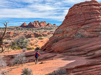 1064 Coyote Buttes North Vermilion Cliffs 2024 
