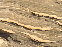 1091 Coyote Buttes North Vermilion Cliffs 2024 