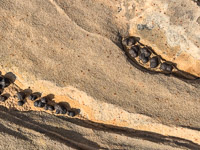 1092 Coyote Buttes North Vermilion Cliffs 2024 