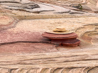 1114 Coyote Buttes North Vermilion Cliffs 2024 