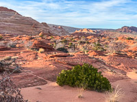 1117 Coyote Buttes North Vermilion Cliffs 2024 
