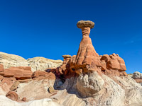1001 Toadstools Utah 