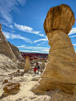 1010 Toadstools Utah 